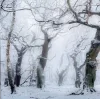 ❄️