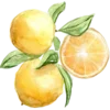 🍋