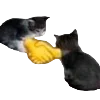 🫱‍🫲