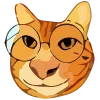 👓