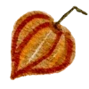🍂