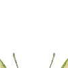 🦋