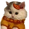 🐱