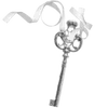 🔑