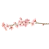 🌸