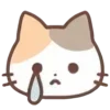 🐾