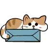 🐱