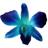 ♾