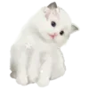 🐈