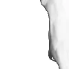⭐