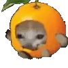 🍊