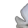 ⭐