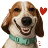 😁