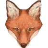 🦊