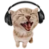 🐈