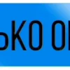 💯