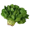 🥬