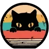 🌑