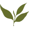 🌿