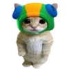 🐈