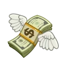 💸