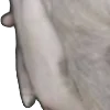⭐