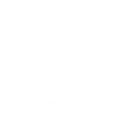 🎲