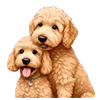 🐶