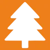 🌲