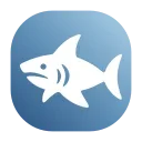 🦈
