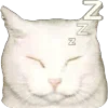 💤