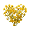 💛
