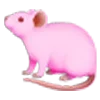 🐀