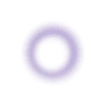 🟣