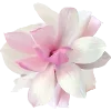 🌸