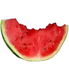 🍉
