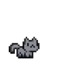 🐈‍⬛