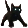 🐈‍⬛