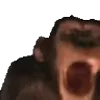🦍