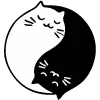 ☯️
