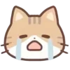 🐾