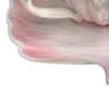 🧴