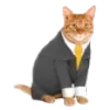 🐈