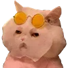 😎