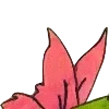 🐸