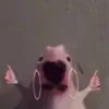 💅