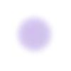 🟣