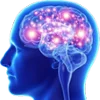 🧠