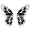 🦋