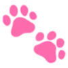 🐾